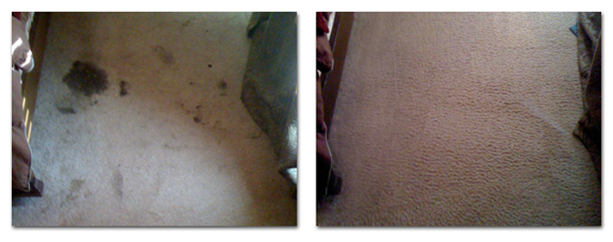 carpet cleaning bound brook new jersey