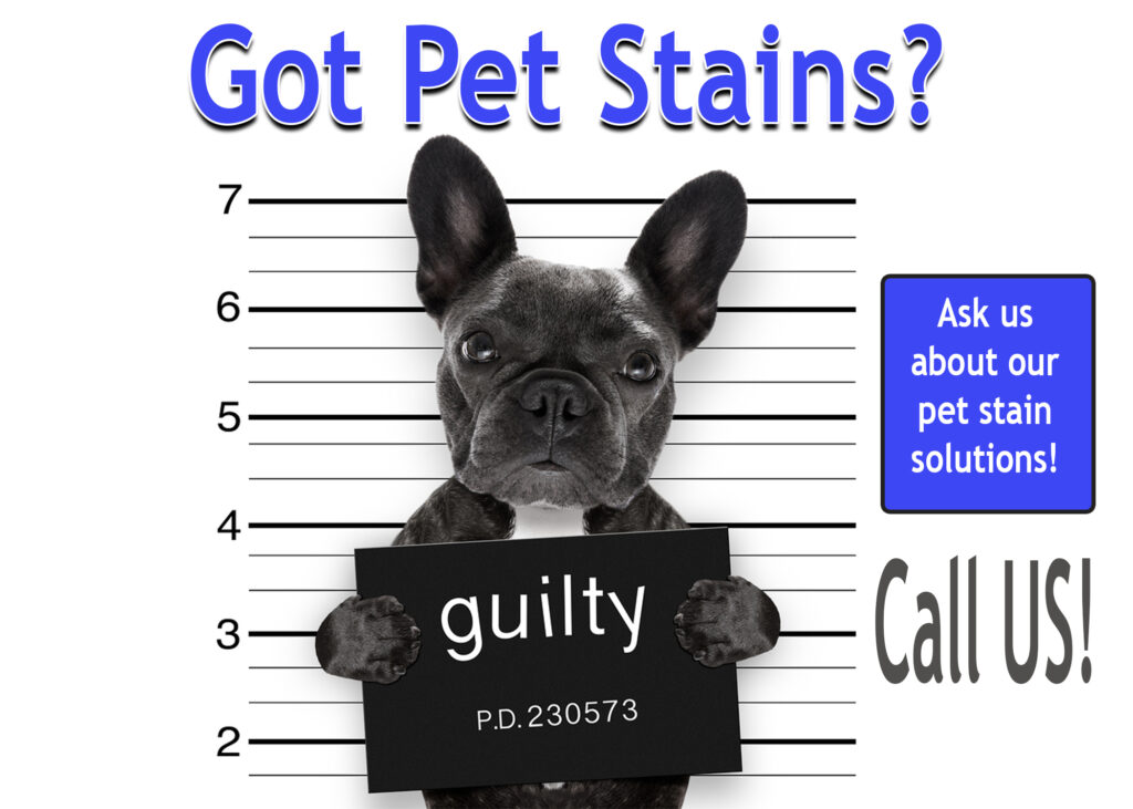 carpet cleaning services New Jersey